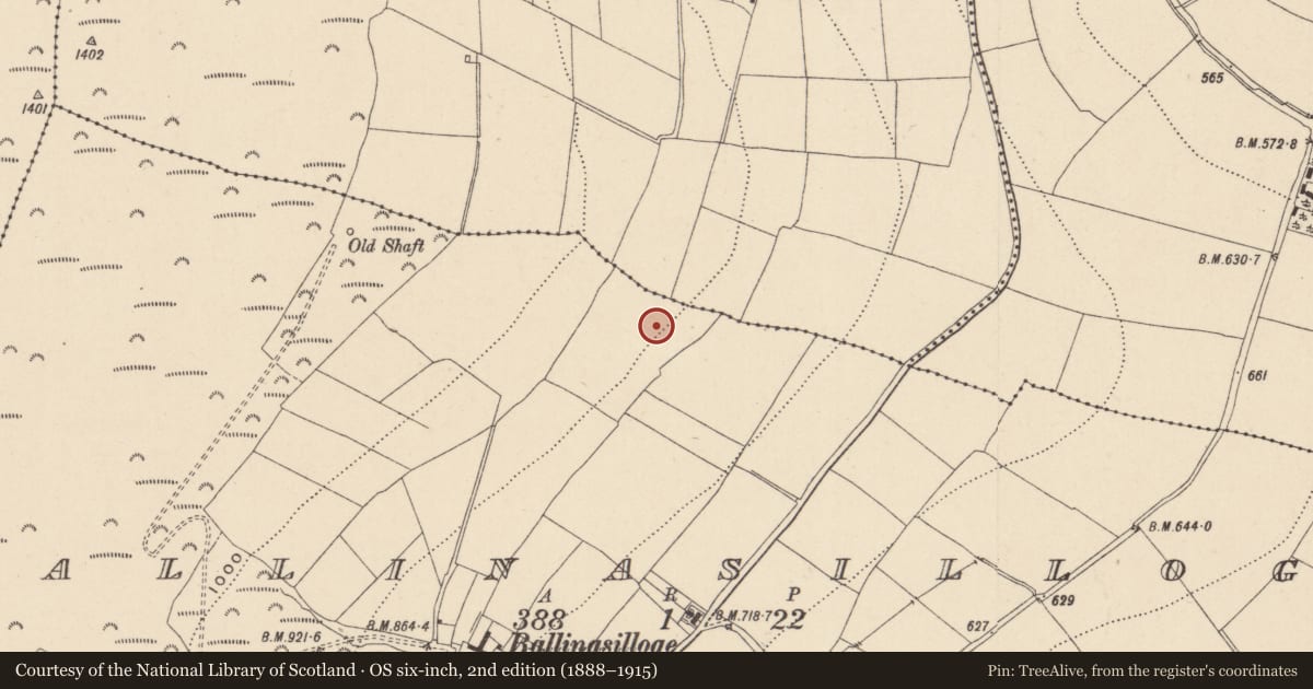 Ordnance Survey six-inch map, 2nd edition (1888–1915) covering the location of Enclosure, Ballinasilloge, County Wicklow, with a pin at the register's coordinates