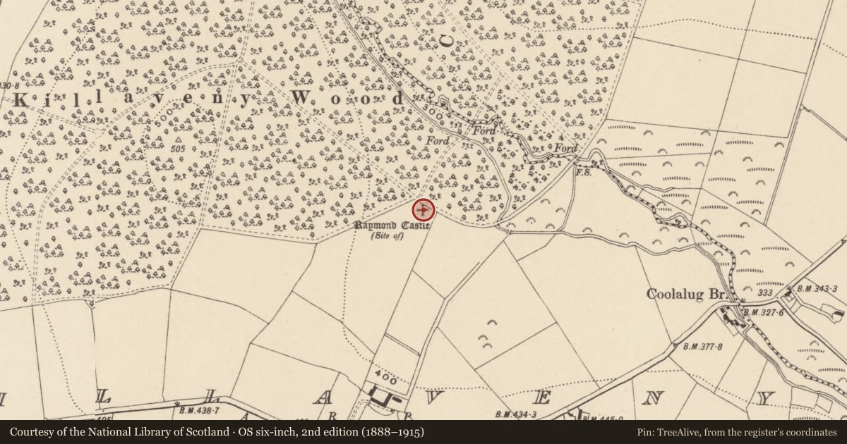 Ordnance Survey six-inch map, 2nd edition (1888–1915) covering the location of Castle - unclassified, Killaveny, County Wicklow, with a pin at the register's coordinates