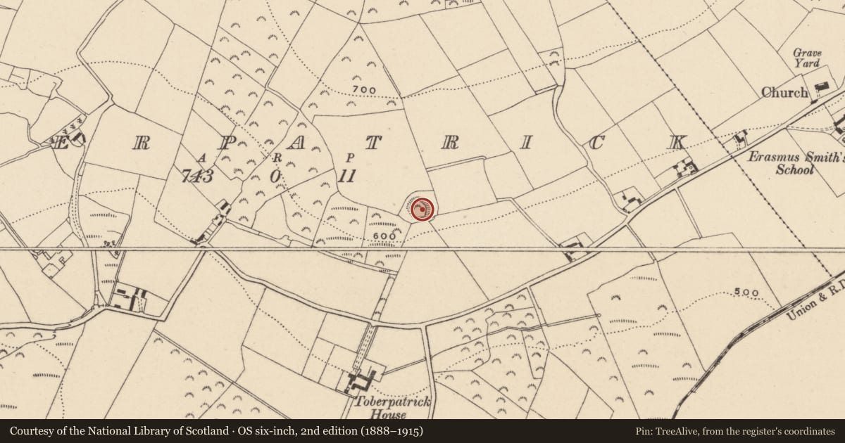Ordnance Survey six-inch map, 2nd edition (1888–1915) covering the location of Ringfort - rath, Toberpatrick, County Wicklow, with a pin at the register's coordinates