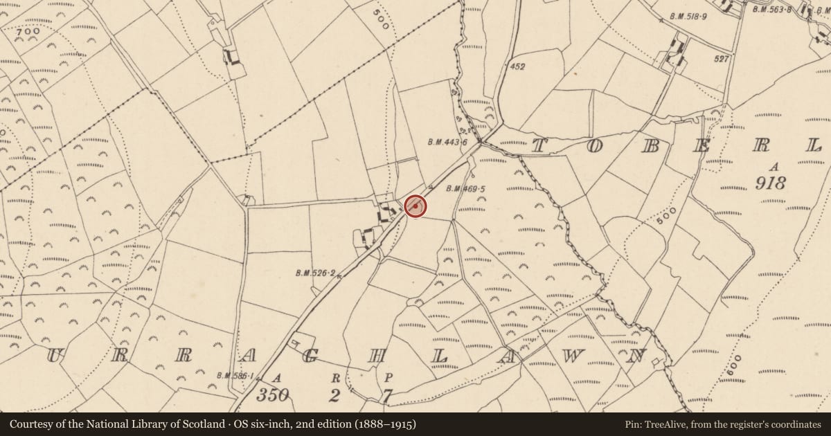 Ordnance Survey six-inch map, 2nd edition (1888–1915) covering the location of Enclosure, Curraghlawn, County Wicklow, with a pin at the register's coordinates