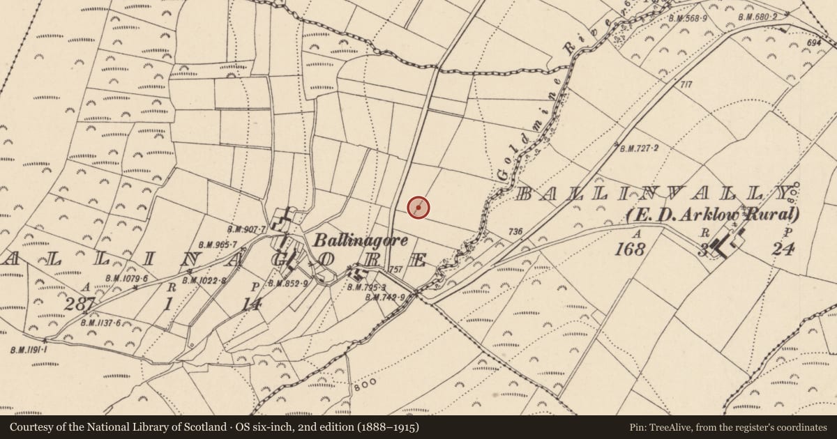 Ordnance Survey six-inch map, 2nd edition (1888–1915) covering the location of Flat cemetery, Ballinagore, County Wicklow, with a pin at the register's coordinates