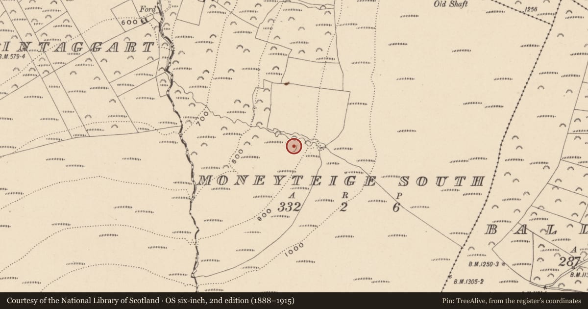Ordnance Survey six-inch map, 2nd edition (1888–1915) covering the location of House - indeterminate date, Moneyteige South, County Wicklow, with a pin at the register's coordinates