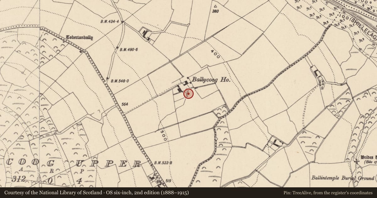Ordnance Survey six-inch map, 2nd edition (1888–1915) covering the location of Church, Ballycoog Lower, County Wicklow, with a pin at the register's coordinates