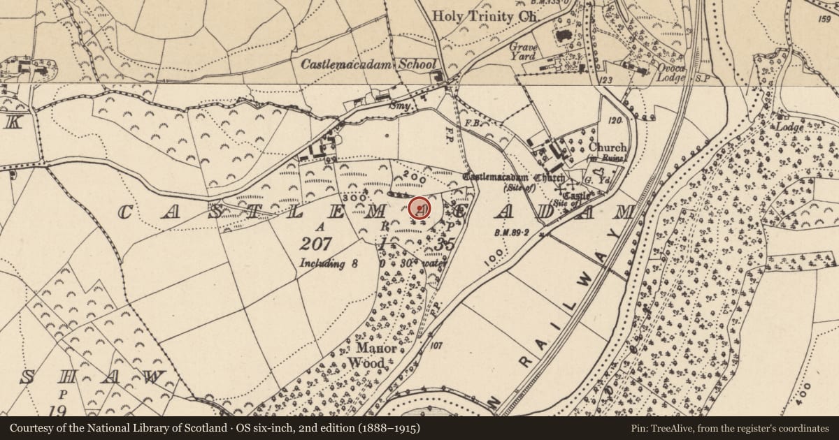 Ordnance Survey six-inch map, 2nd edition (1888–1915) covering the location of Enclosure, Castlemacadam, County Wicklow, with a pin at the register's coordinates