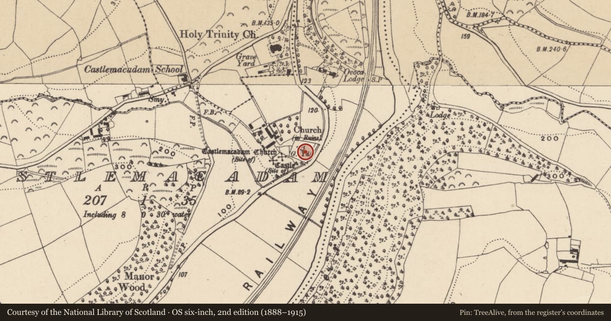 Ordnance Survey six-inch map, 2nd edition (1888–1915) covering the location of Graveyard, Castlemacadam, County Wicklow, with a pin at the register's coordinates