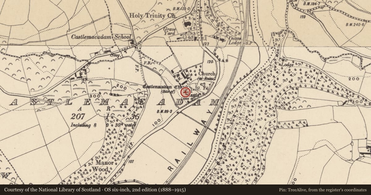 Ordnance Survey six-inch map, 2nd edition (1888–1915) covering the location of Castle - unclassified, Castlemacadam, County Wicklow, with a pin at the register's coordinates