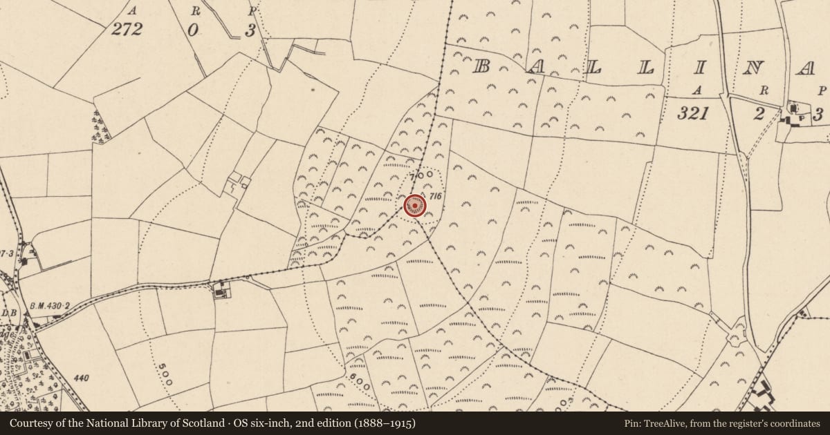 Ordnance Survey six-inch map, 2nd edition (1888–1915) covering the location of Barrow - ring-barrow, Ballinakill, County Wicklow, with a pin at the register's coordinates