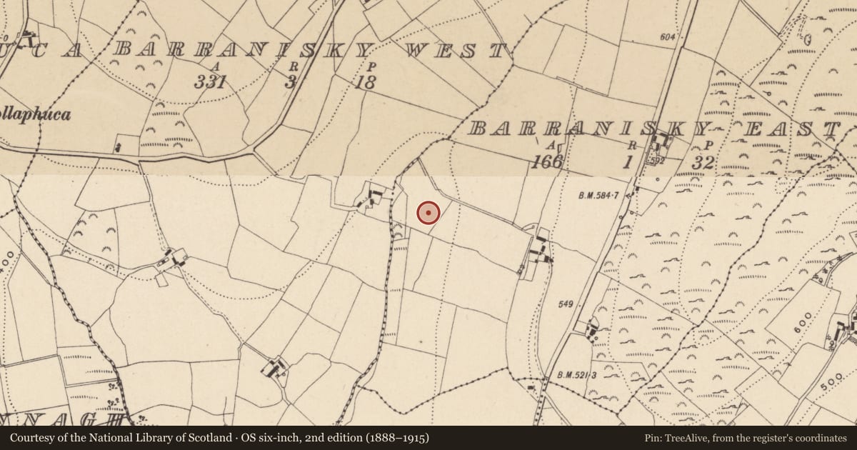 Ordnance Survey six-inch map, 2nd edition (1888–1915) covering the location of Enclosure, Barranisky East, County Wicklow, with a pin at the register's coordinates