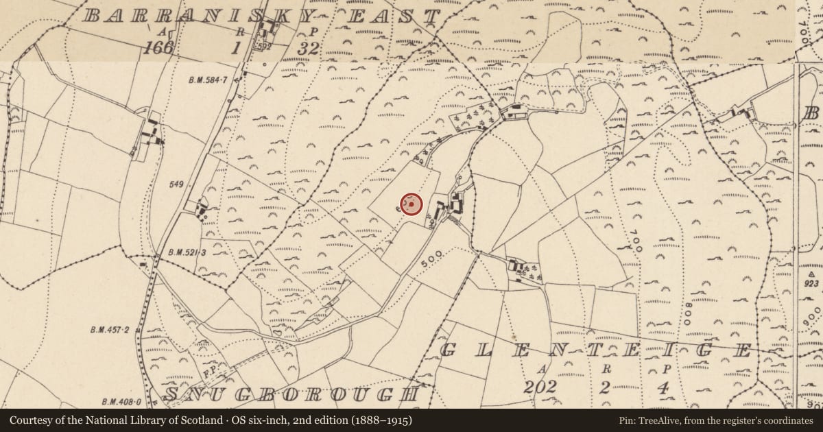 Ordnance Survey six-inch map, 2nd edition (1888–1915) covering the location of Enclosure, Snugborough, County Wicklow, with a pin at the register's coordinates