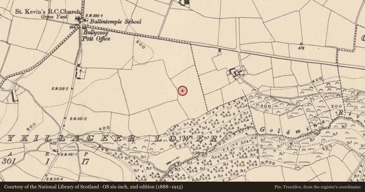 Ordnance Survey six-inch map, 2nd edition (1888–1915) covering the location of Ringfort - rath, Ballykillageer Lower, County Wicklow, with a pin at the register's coordinates