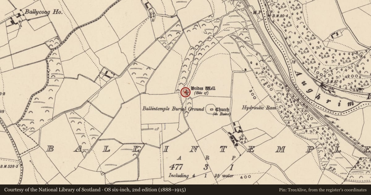 Ordnance Survey six-inch map, 2nd edition (1888–1915) covering the location of Ritual site - holy well, Ballintemple, County Wicklow, with a pin at the register's coordinates