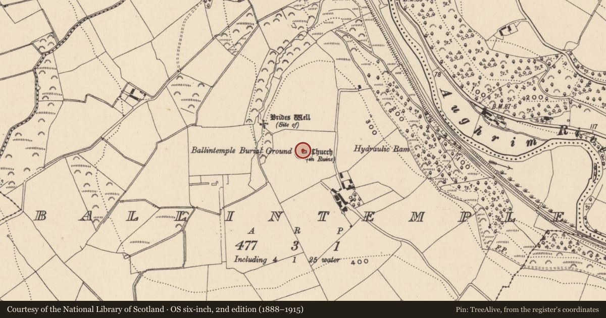 Ordnance Survey six-inch map, 2nd edition (1888–1915) covering the location of Church, Ballintemple, County Wicklow, with a pin at the register's coordinates
