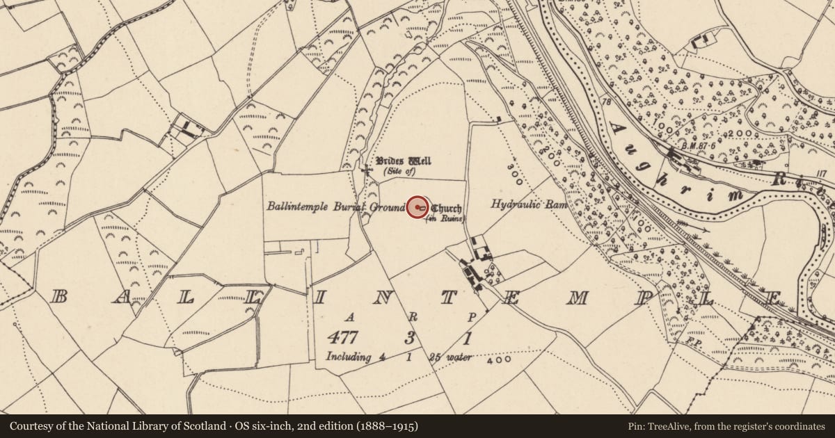 Ordnance Survey six-inch map, 2nd edition (1888–1915) covering the location of Ecclesiastical enclosure, Ballintemple, County Wicklow, with a pin at the register's coordinates