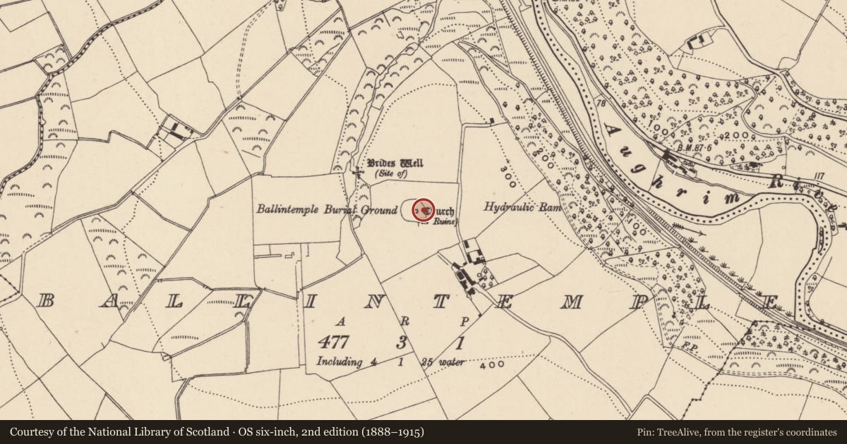 Ordnance Survey six-inch map, 2nd edition (1888–1915) covering the location of Rock art, Ballintemple, County Wicklow, with a pin at the register's coordinates