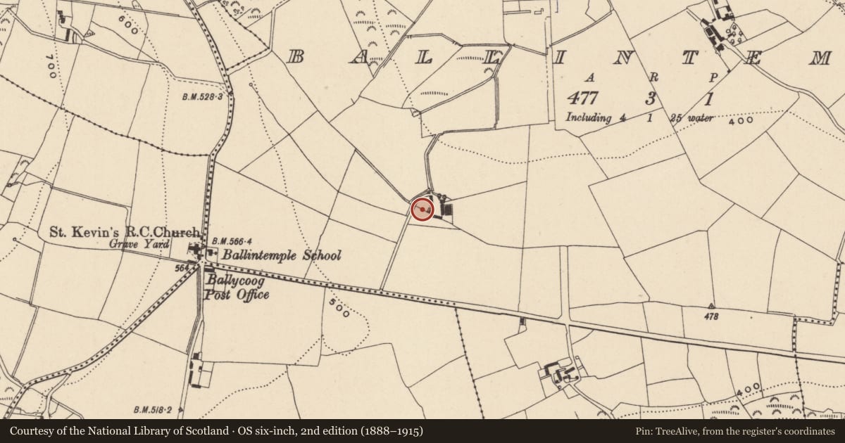 Ordnance Survey six-inch map, 2nd edition (1888–1915) covering the location of Architectural fragment, Ballintemple, County Wicklow, with a pin at the register's coordinates