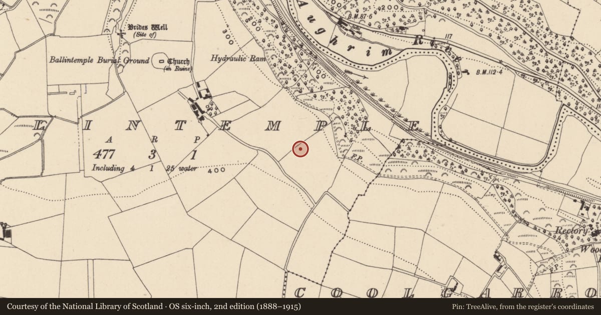 Ordnance Survey six-inch map, 2nd edition (1888–1915) covering the location of Church, Ballintemple, County Wicklow, with a pin at the register's coordinates