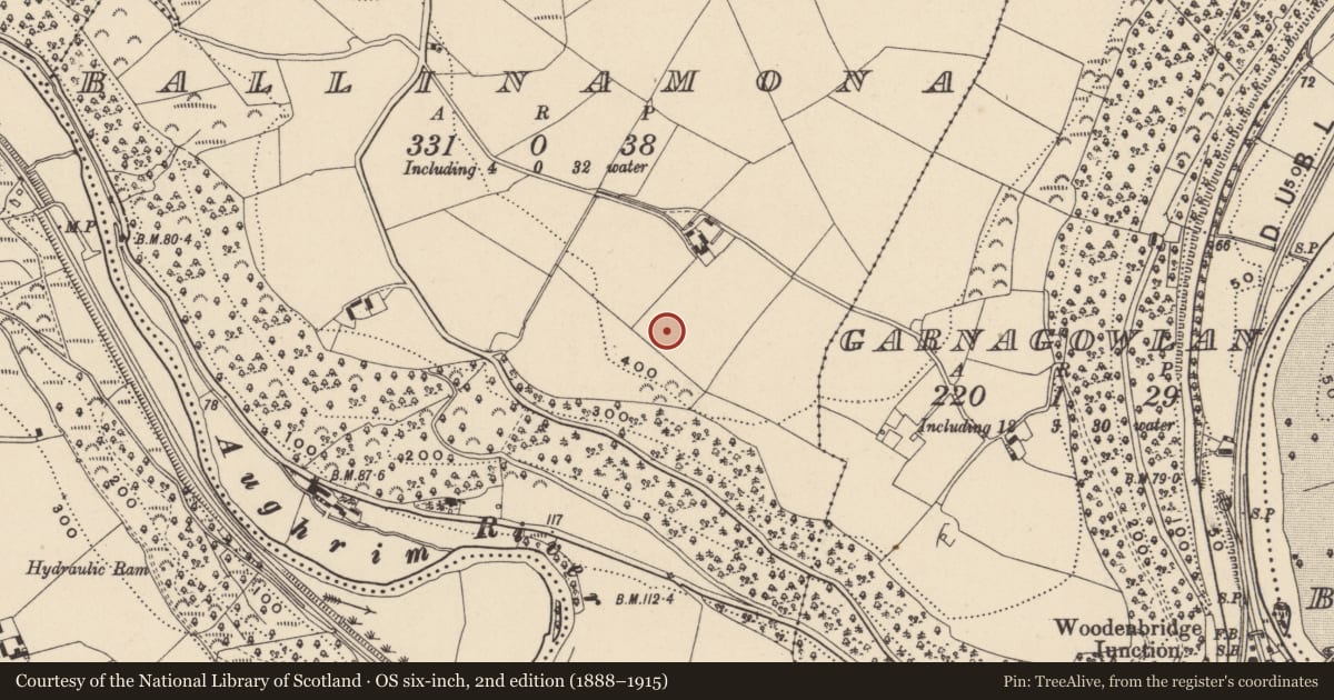 Ordnance Survey six-inch map, 2nd edition (1888–1915) covering the location of Enclosure, Ballinamona, County Wicklow, with a pin at the register's coordinates