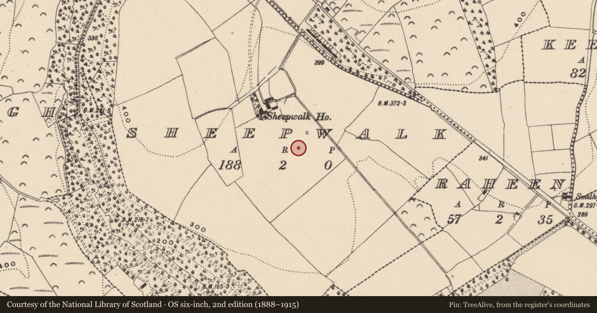 Ordnance Survey six-inch map, 2nd edition (1888–1915) covering the location of Standing stone, Sheepwalk, County Wicklow, with a pin at the register's coordinates