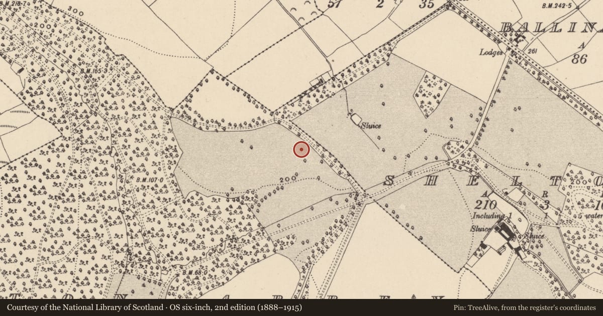Ordnance Survey six-inch map, 2nd edition (1888–1915) covering the location of Graveyard, Shelton Abbey, County Wicklow, with a pin at the register's coordinates