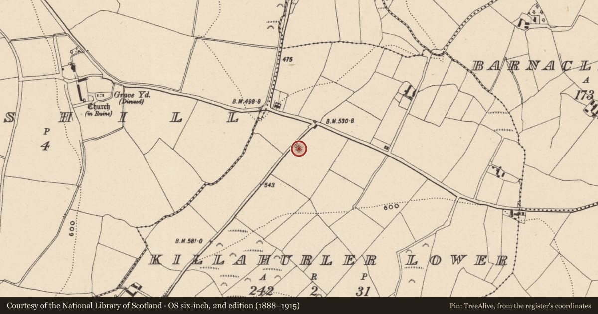 Ordnance Survey six-inch map, 2nd edition (1888–1915) covering the location of Burial mound, Killahurler Lower, County Wicklow, with a pin at the register's coordinates