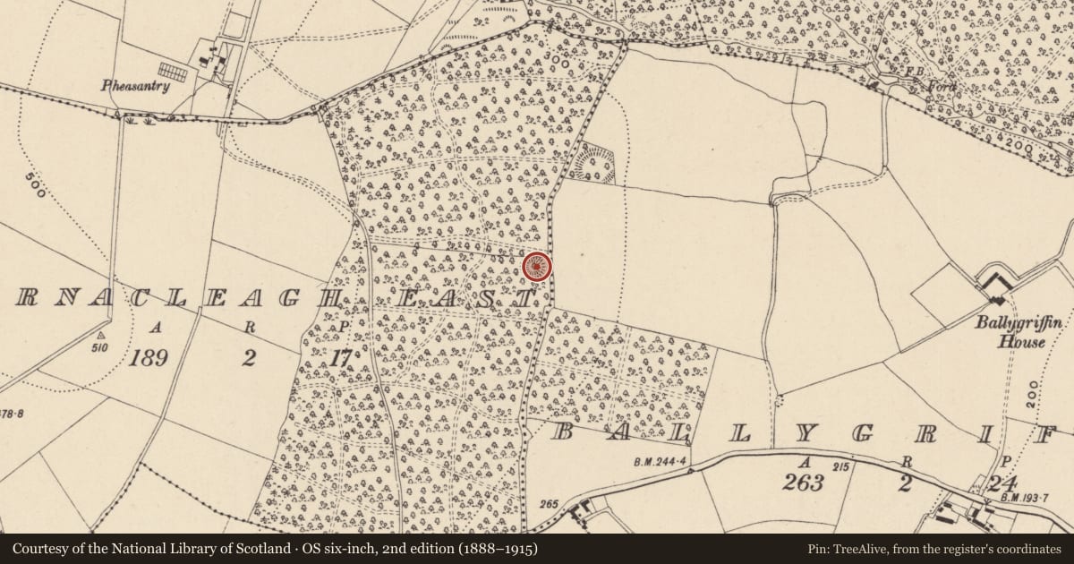 Ordnance Survey six-inch map, 2nd edition (1888–1915) covering the location of Ringfort - rath, Barnacleagh East, County Wicklow, with a pin at the register's coordinates