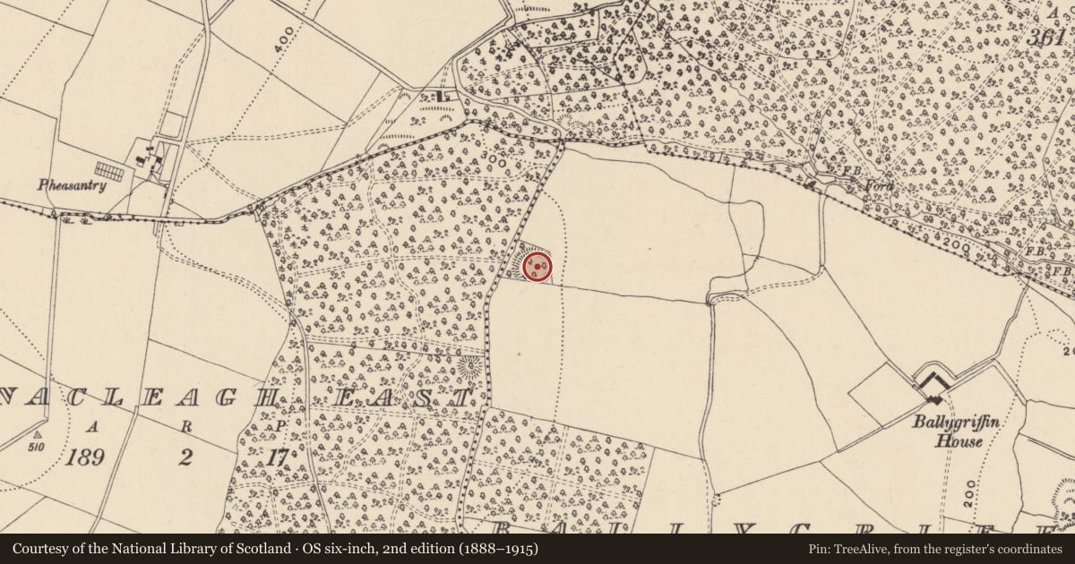 Ordnance Survey six-inch map, 2nd edition (1888–1915) covering the location of Ringfort - rath, Ballygriffin, County Wicklow, with a pin at the register's coordinates