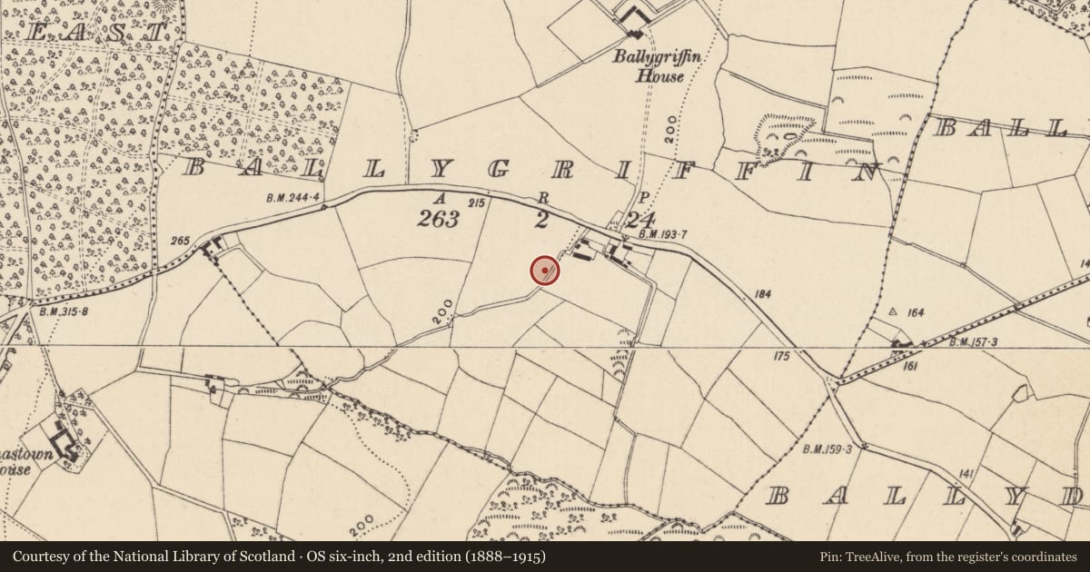 Ordnance Survey six-inch map, 2nd edition (1888–1915) covering the location of Enclosure, Ballygriffin, County Wicklow, with a pin at the register's coordinates