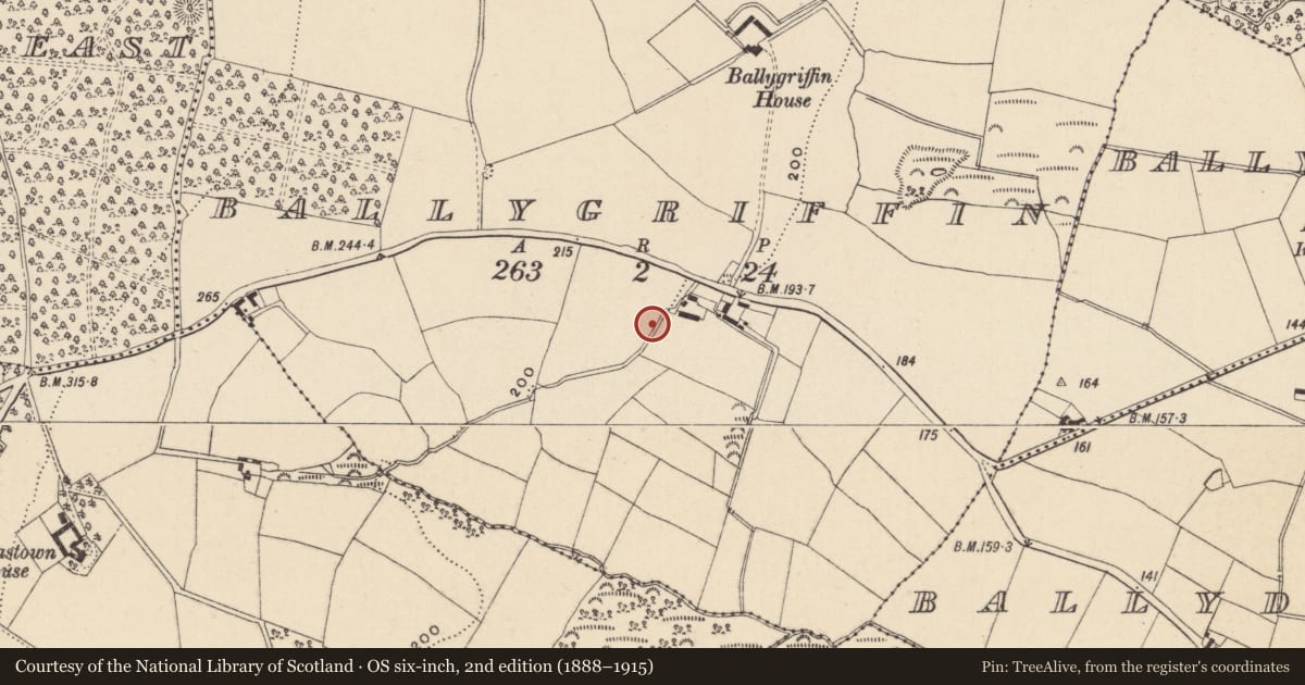 Ordnance Survey six-inch map, 2nd edition (1888–1915) covering the location of Enclosure, Ballygriffin, County Wicklow, with a pin at the register's coordinates