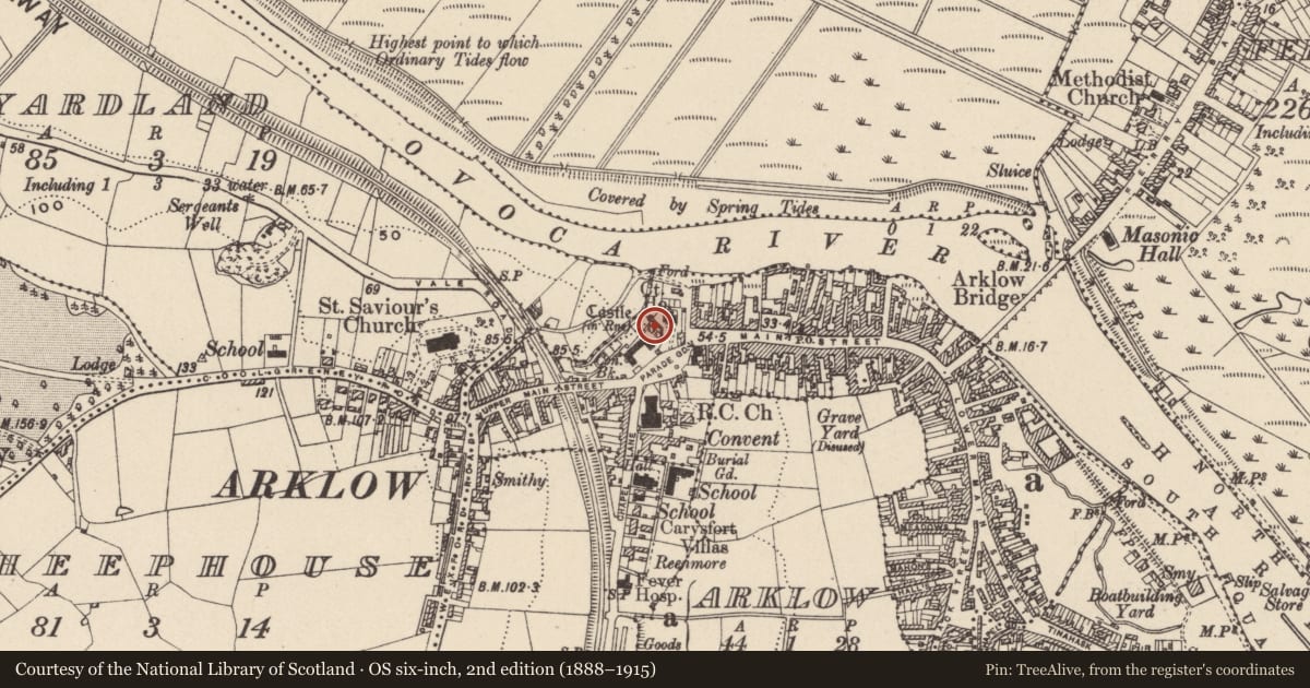 Ordnance Survey six-inch map, 2nd edition (1888–1915) covering the location of Castle - Anglo-Norman masonry castle, Arklow, County Wicklow, with a pin at the register's coordinates