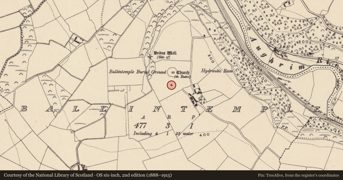 Ordnance Survey six-inch map, 2nd edition (1888–1915) covering the location of Ringfort - unclassified, Ballintemple, County Wicklow, with a pin at the register's coordinates