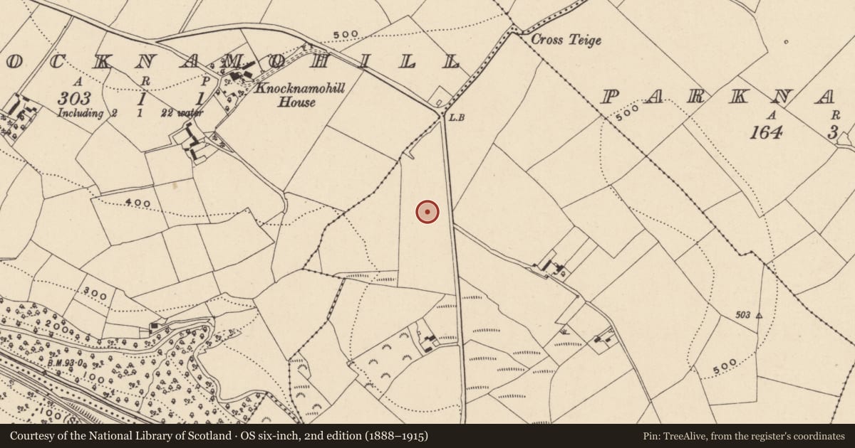 Ordnance Survey six-inch map, 2nd edition (1888–1915) covering the location of Burnt mound, Ballinamona, County Wicklow, with a pin at the register's coordinates