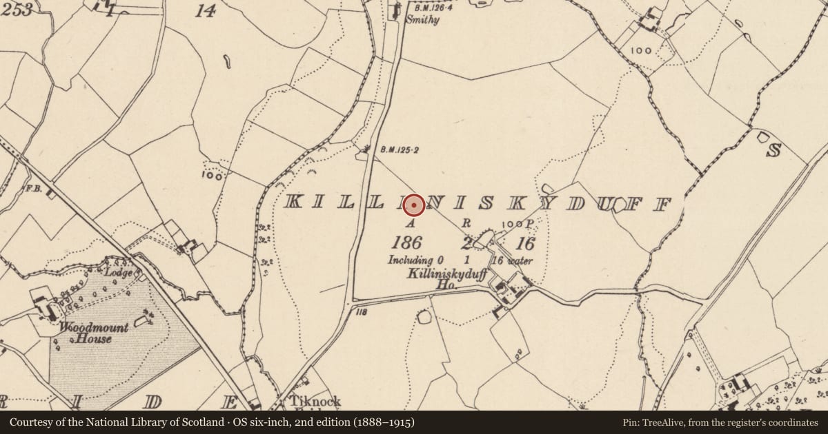 Ordnance Survey six-inch map, 2nd edition (1888–1915) covering the location of Ring-ditch, Killiniskyduff, County Wicklow, with a pin at the register's coordinates