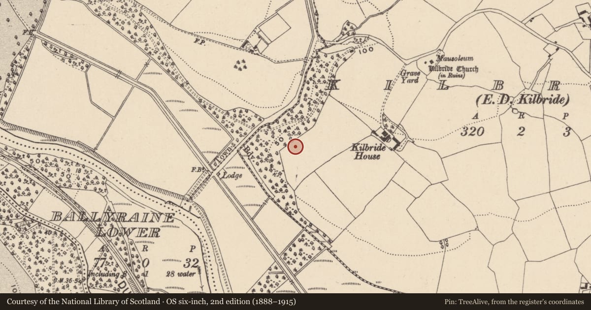 Ordnance Survey six-inch map, 2nd edition (1888–1915) covering the location of Habitation site, Kilbride, County Wicklow, with a pin at the register's coordinates