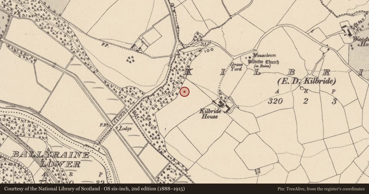 Ordnance Survey six-inch map, 2nd edition (1888–1915) covering the location of Furnace, Kilbride, County Wicklow, with a pin at the register's coordinates