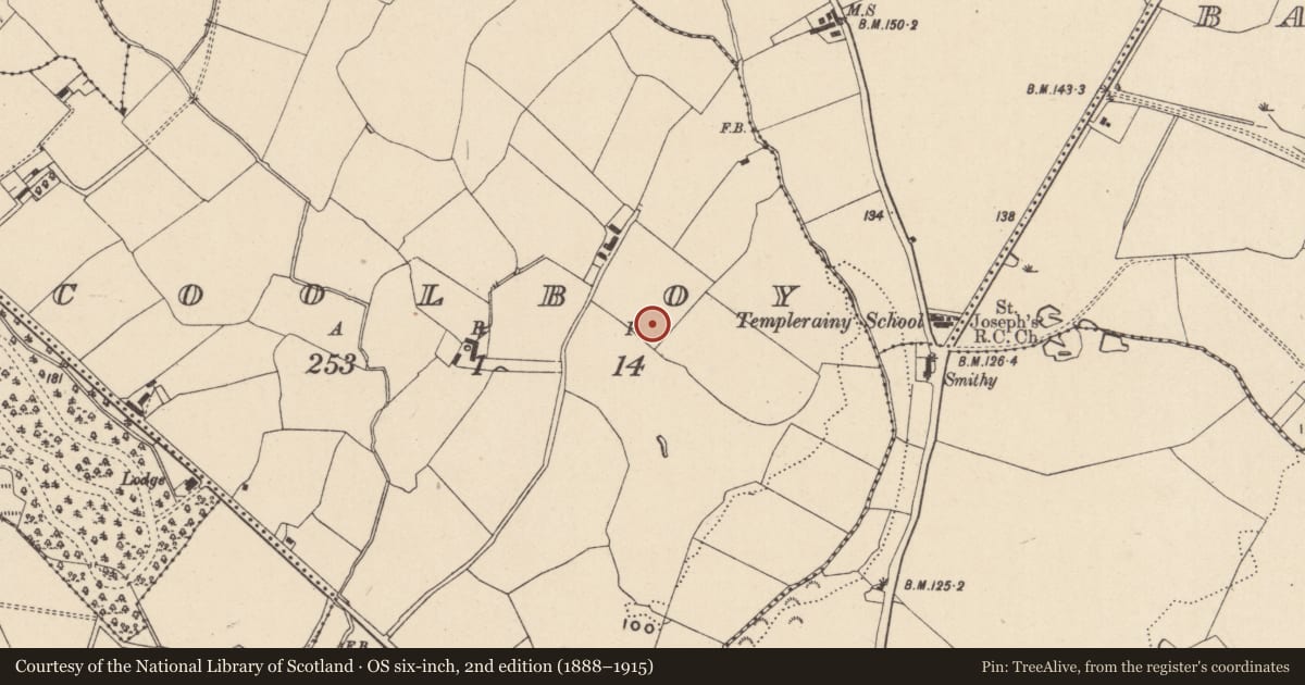 Ordnance Survey six-inch map, 2nd edition (1888–1915) covering the location of Excavation - miscellaneous, Coolboy, County Wicklow, with a pin at the register's coordinates