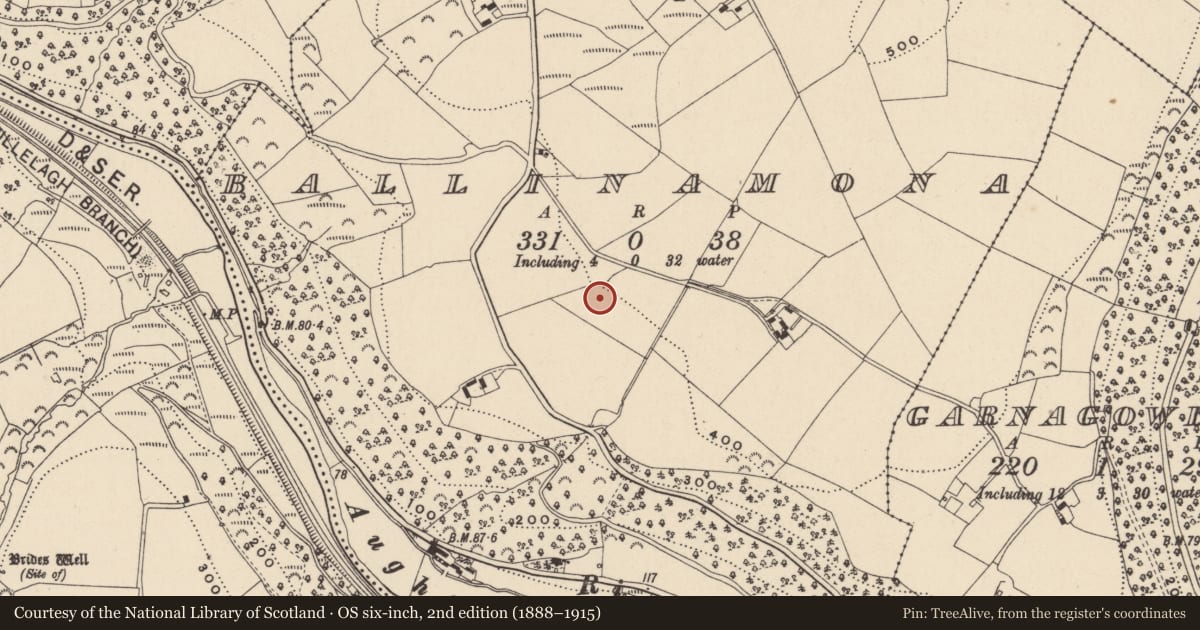Ordnance Survey six-inch map, 2nd edition (1888–1915) covering the location of Enclosure, Ballinamona, County Wicklow, with a pin at the register's coordinates