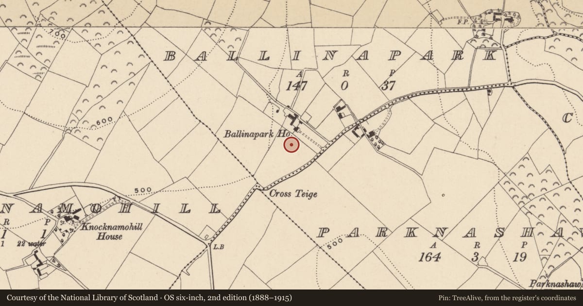 Ordnance Survey six-inch map, 2nd edition (1888–1915) covering the location of Barrow - ring-barrow, Ballinapark, County Wicklow, with a pin at the register's coordinates