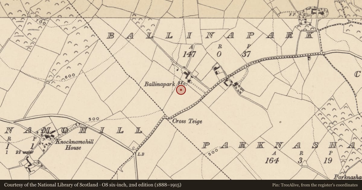 Ordnance Survey six-inch map, 2nd edition (1888–1915) covering the location of Barrow - ring-barrow, Ballinapark, County Wicklow, with a pin at the register's coordinates