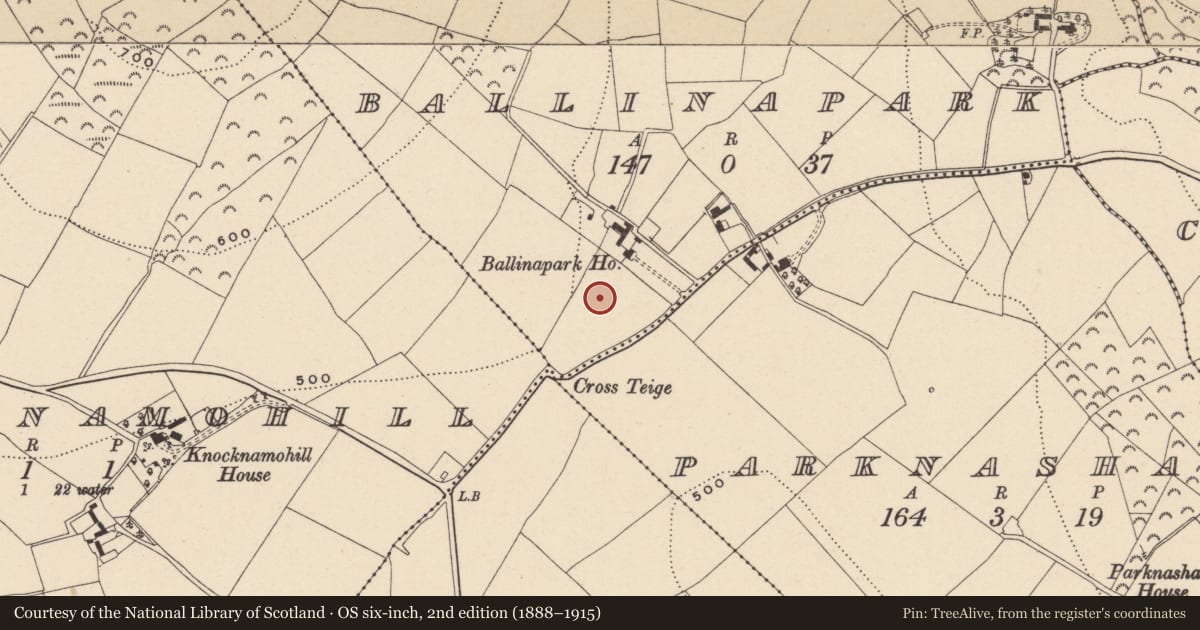 Ordnance Survey six-inch map, 2nd edition (1888–1915) covering the location of Barrow - unclassified, Ballinapark, County Wicklow, with a pin at the register's coordinates