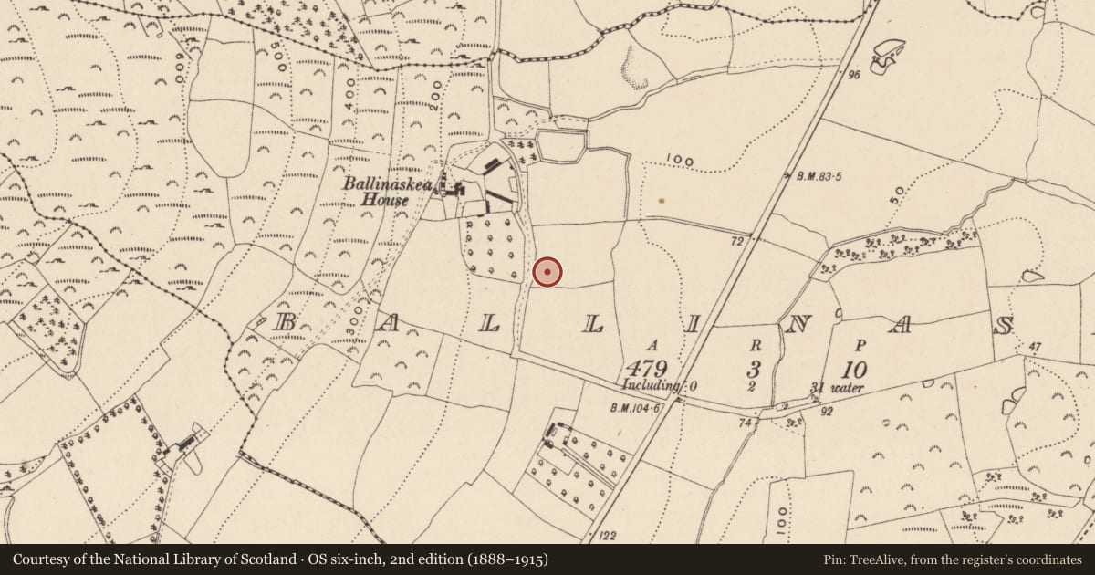Ordnance Survey six-inch map, 2nd edition (1888–1915) covering the location of Ringfort - rath, Ballinaskea, County Wicklow, with a pin at the register's coordinates