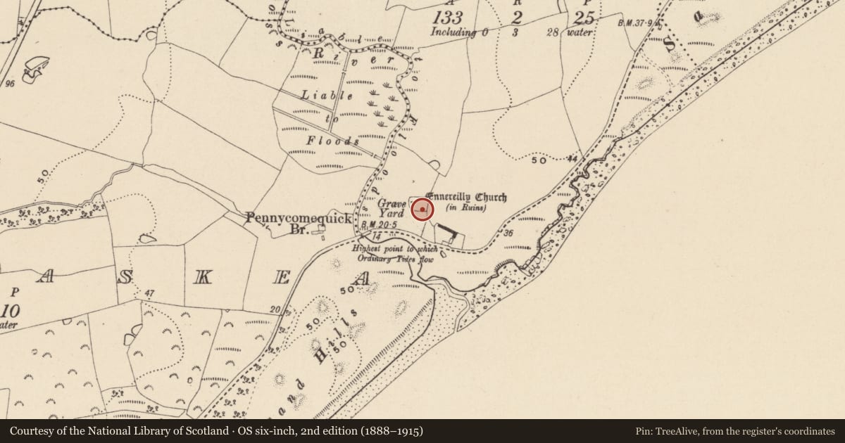 Ordnance Survey six-inch map, 2nd edition (1888–1915) covering the location of Graveslab, Ennereilly, County Wicklow, with a pin at the register's coordinates