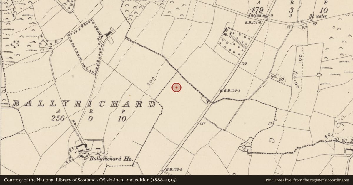 Ordnance Survey six-inch map, 2nd edition (1888–1915) covering the location of Fulacht fia, Johnstown North, County Wicklow, with a pin at the register's coordinates