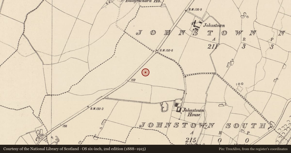 Ordnance Survey six-inch map, 2nd edition (1888–1915) covering the location of Enclosure, Johnstown South, County Wicklow, with a pin at the register's coordinates