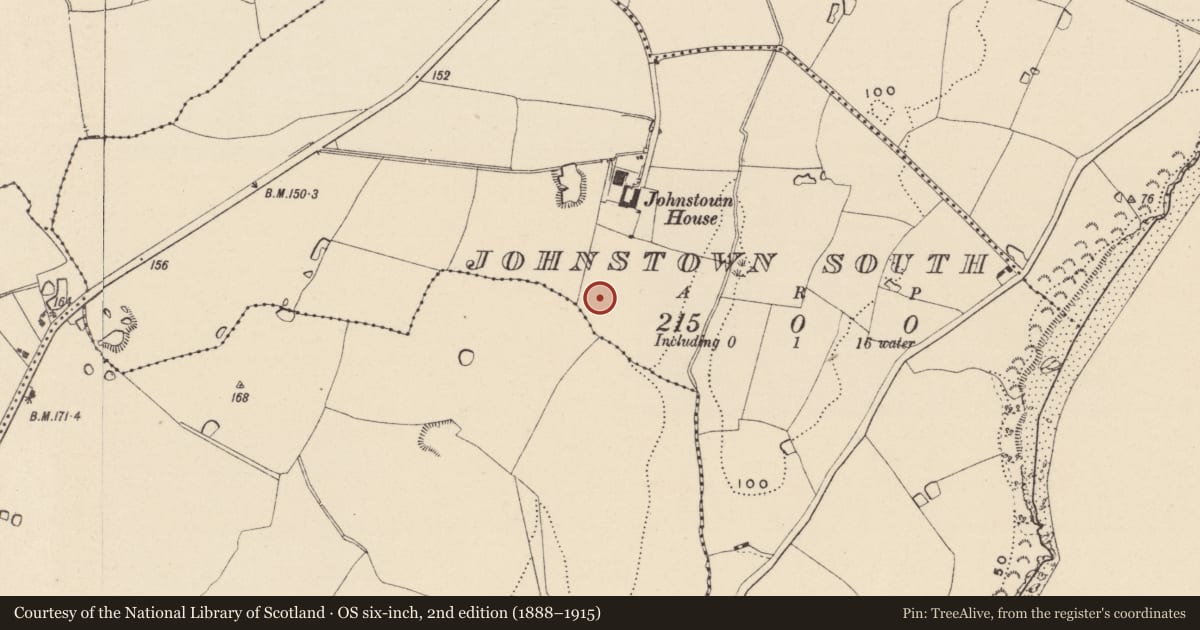 Ordnance Survey six-inch map, 2nd edition (1888–1915) covering the location of Enclosure, Johnstown South, County Wicklow, with a pin at the register's coordinates