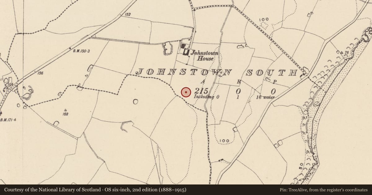 Ordnance Survey six-inch map, 2nd edition (1888–1915) covering the location of Enclosure, Johnstown South, County Wicklow, with a pin at the register's coordinates