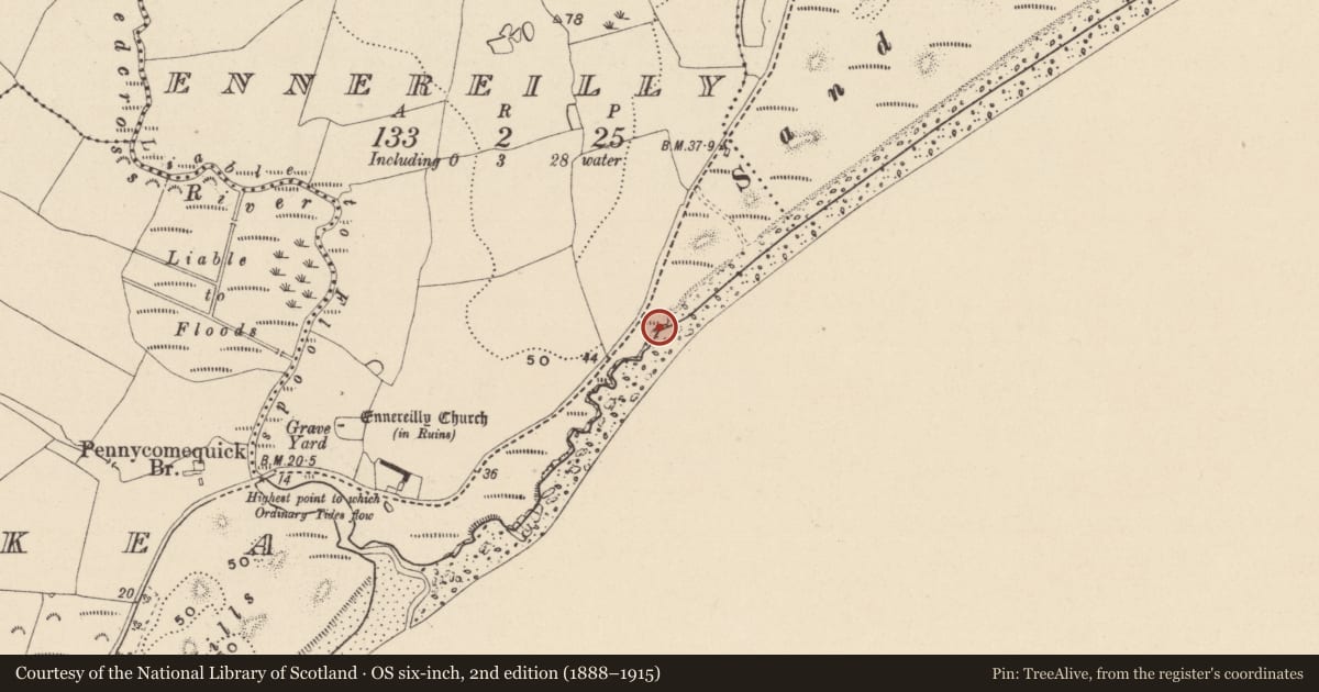 Ordnance Survey six-inch map, 2nd edition (1888–1915) covering the location of Prehistoric site - lithic scatter, Ennereilly, County Wicklow, with a pin at the register's coordinates