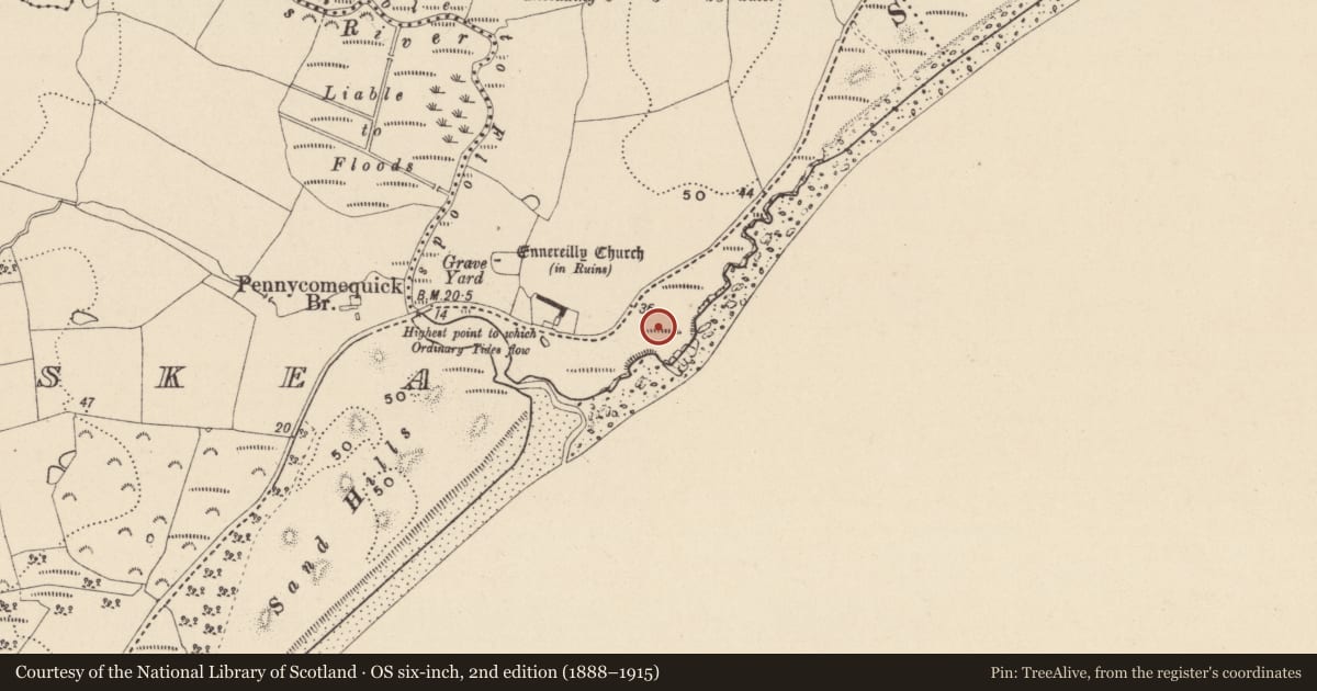 Ordnance Survey six-inch map, 2nd edition (1888–1915) covering the location of Prehistoric site - lithic scatter, Ennereilly, County Wicklow, with a pin at the register's coordinates