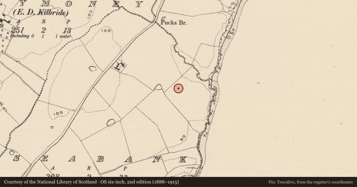 Ordnance Survey six-inch map, 2nd edition (1888–1915) covering the location of Prehistoric site - lithic scatter, Seabank, County Wicklow, with a pin at the register's coordinates