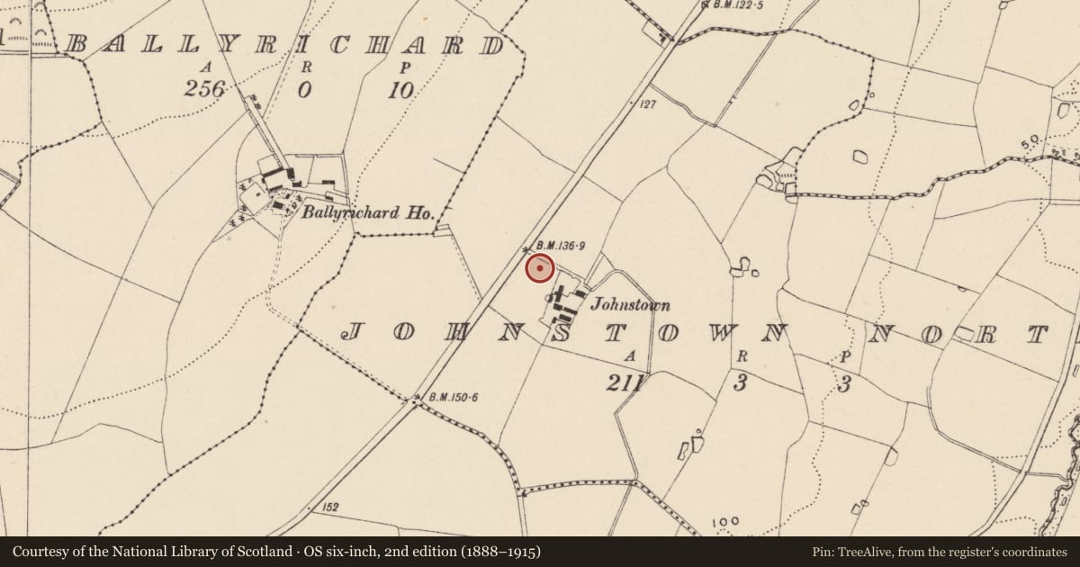 Ordnance Survey six-inch map, 2nd edition (1888–1915) covering the location of Burnt mound, Johnstown North, County Wicklow, with a pin at the register's coordinates