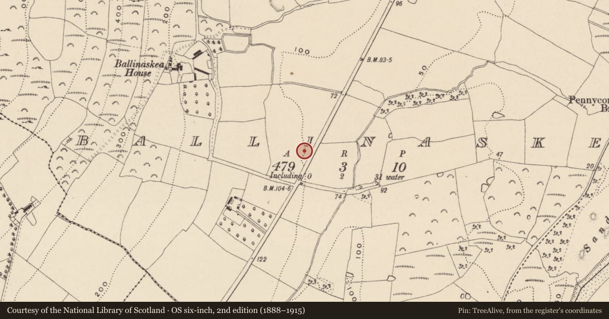 Ordnance Survey six-inch map, 2nd edition (1888–1915) covering the location of Pit, Ballinaskea, County Wicklow, with a pin at the register's coordinates